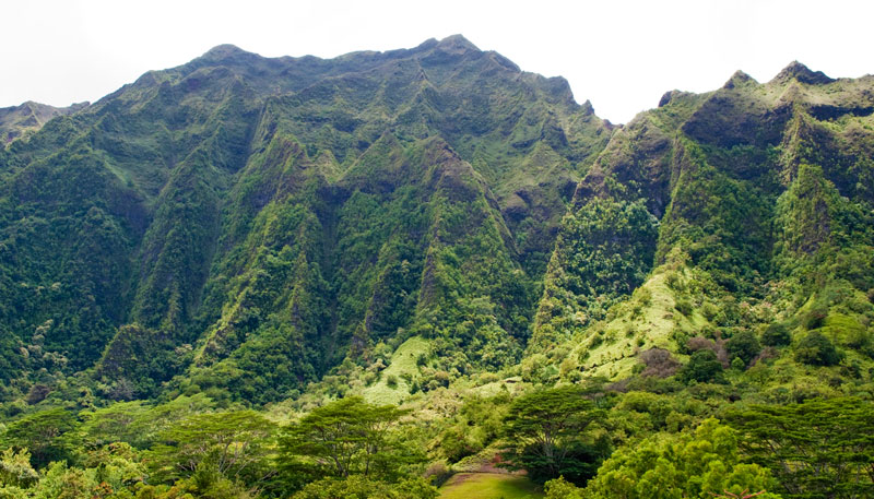 A view of Ho'omaluhia's stunning mountain scenery