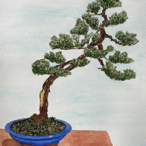 Liz Corbin, "Bonsai", Watercolor, 14 x 11 in.