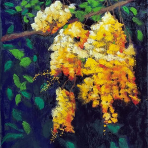 Barbara Tinius, "Golden Shower Tree", Pastel, 9 x 12 in. Award: Honorable Mention