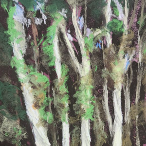 Roger Tinius, Molokaʻi Eucalyptus, Pastel, 9 x 12 in.