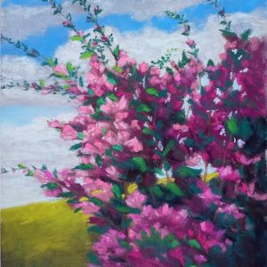 Barb Tinius, "Bougainvillea", Pastel, 12 x 9 in.